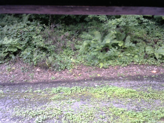 長野県菅平高原 ゆたか山荘 南側 2025/08/14 08:45