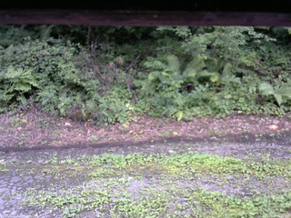 長野県菅平高原 ゆたか山荘 南側 2025/08/14 09:00