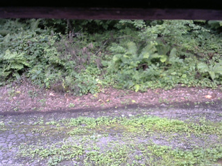 長野県菅平高原 ゆたか山荘 南側 2025/08/14 09:45