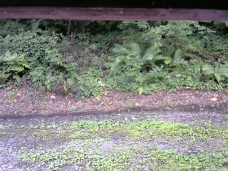 長野県菅平高原 ゆたか山荘 南側 2025/08/14 10:00