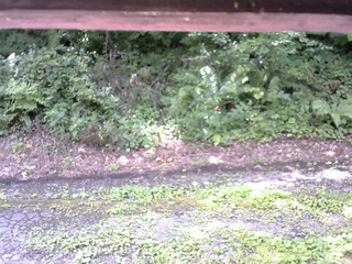 長野県菅平高原 ゆたか山荘 南側 2025/08/14 10:15