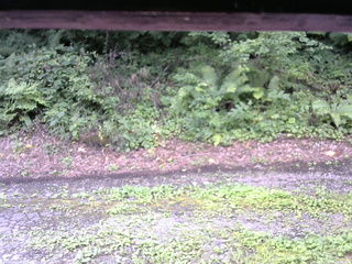 長野県菅平高原 ゆたか山荘 南側 2025/08/14 10:30