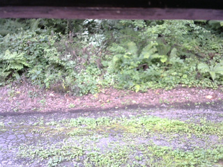 長野県菅平高原 ゆたか山荘 南側 2025/08/14 10:45