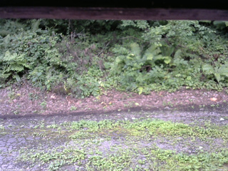 長野県菅平高原 ゆたか山荘 南側 2025/08/14 11:00