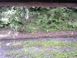 長野県菅平高原 ゆたか山荘 南側 2025/08/14 11:15