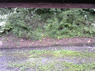 長野県菅平高原 ゆたか山荘 南側 2025/08/14 11:30