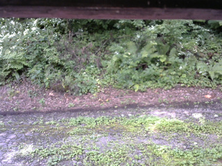 長野県菅平高原 ゆたか山荘 南側 2025/08/14 11:45