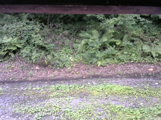 長野県菅平高原 ゆたか山荘 南側 2025/08/14 12:00