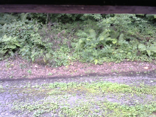 長野県菅平高原 ゆたか山荘 南側 2025/08/14 12:15