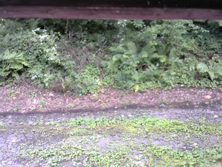 長野県菅平高原 ゆたか山荘 南側 2025/08/14 12:30