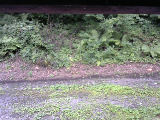 長野県菅平高原 ゆたか山荘 南側 2025/08/14 12:45