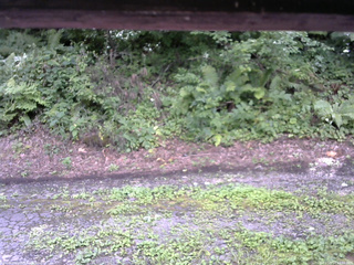 長野県菅平高原 ゆたか山荘 南側 2025/08/14 13:00