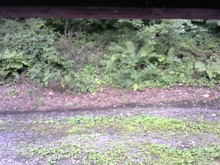 長野県菅平高原 ゆたか山荘 南側 2025/08/14 13:15