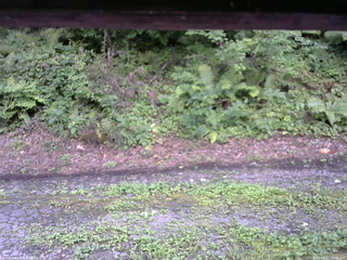 長野県菅平高原 ゆたか山荘 南側 2025/08/14 13:30