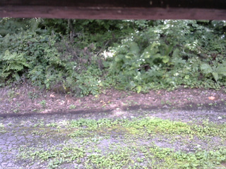 長野県菅平高原 ゆたか山荘 南側 2025/08/14 13:45