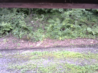 長野県菅平高原 ゆたか山荘 南側 2025/08/14 14:00