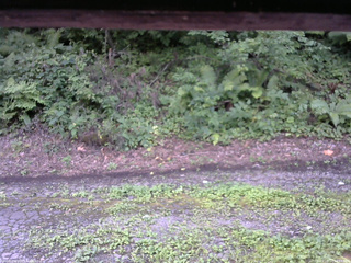 長野県菅平高原 ゆたか山荘 南側 2025/08/14 14:15