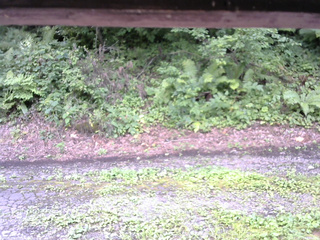 長野県菅平高原 ゆたか山荘 南側 2025/08/14 14:30