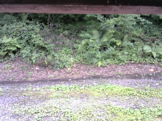 長野県菅平高原 ゆたか山荘 南側 2025/08/14 14:45