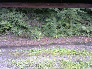 長野県菅平高原 ゆたか山荘 南側 2025/08/14 15:00