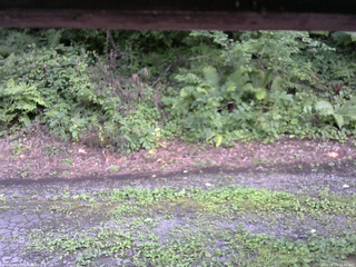 長野県菅平高原 ゆたか山荘 南側 2025/08/14 15:30