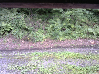 長野県菅平高原 ゆたか山荘 南側 2025/08/14 15:45