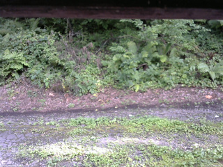 長野県菅平高原 ゆたか山荘 南側 2025/08/14 16:00