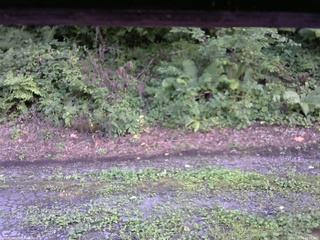 長野県菅平高原 ゆたか山荘 南側 2025/08/14 16:30