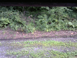 長野県菅平高原 ゆたか山荘 南側 2025/08/14 16:45