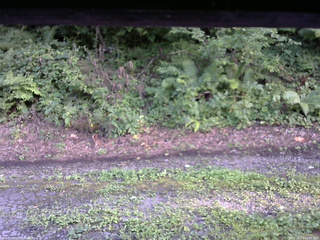 長野県菅平高原 ゆたか山荘 南側 2025/08/14 17:00