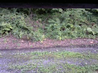 長野県菅平高原 ゆたか山荘 南側 2025/08/14 17:15