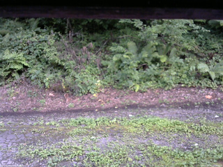 長野県菅平高原 ゆたか山荘 南側 2025/08/14 17:30