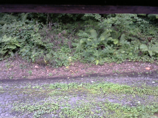 長野県菅平高原 ゆたか山荘 南側 2025/08/14 18:00