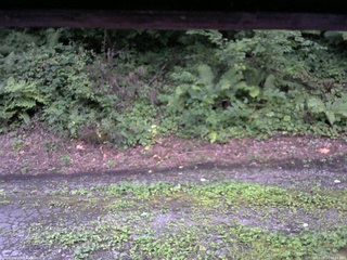 長野県菅平高原 ゆたか山荘 南側 2025/08/14 18:15