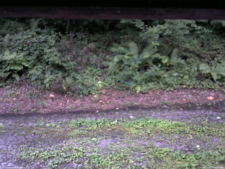 長野県菅平高原 ゆたか山荘 南側 2025/08/14 18:30