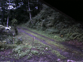 長野県菅平高原 ゆたか山荘 東側(坂下) 2025/08/14 05:00