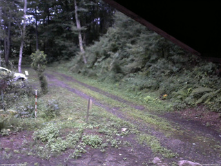 長野県菅平高原 ゆたか山荘 東側(坂下) 2025/08/14 05:15