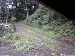 長野県菅平高原 ゆたか山荘 東側(坂下) 2025/08/14 05:45