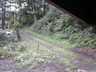 長野県菅平高原 ゆたか山荘 東側(坂下) 2025/08/14 06:15