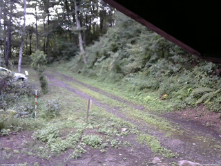 長野県菅平高原 ゆたか山荘 東側(坂下) 2025/08/14 06:30