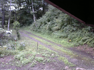 長野県菅平高原 ゆたか山荘 東側(坂下) 2025/08/14 06:45