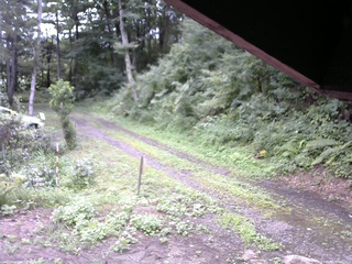 長野県菅平高原 ゆたか山荘 東側(坂下) 2025/08/14 07:30