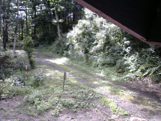 長野県菅平高原 ゆたか山荘 東側(坂下) 2025/08/14 08:15