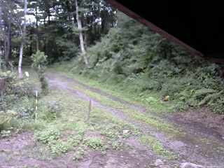 長野県菅平高原 ゆたか山荘 東側(坂下) 2025/08/14 09:00