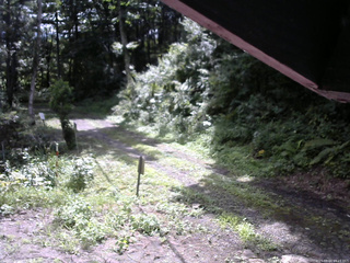 長野県菅平高原 ゆたか山荘 東側(坂下) 2025/08/14 09:15