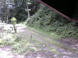 長野県菅平高原 ゆたか山荘 東側(坂下) 2025/08/14 11:30
