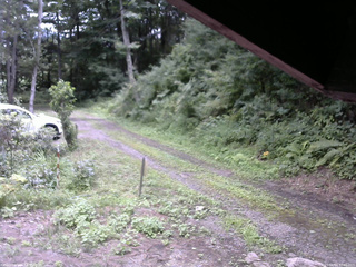 長野県菅平高原 ゆたか山荘 東側(坂下) 2025/08/14 12:00