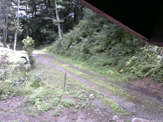 長野県菅平高原 ゆたか山荘 東側(坂下) 2025/08/14 12:30