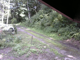 長野県菅平高原 ゆたか山荘 東側(坂下) 2025/08/14 13:45