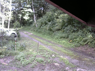 長野県菅平高原 ゆたか山荘 東側(坂下) 2025/08/14 14:00
